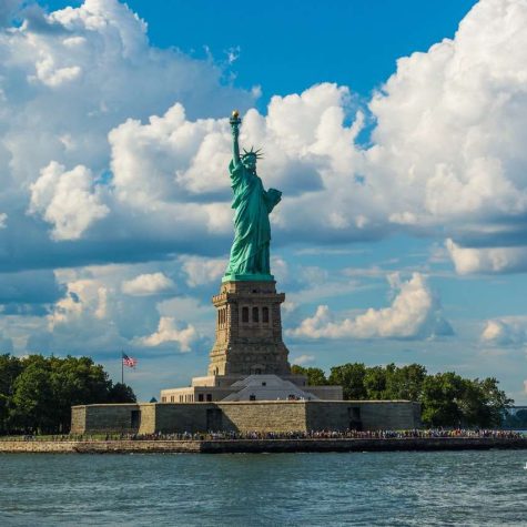 Harrington organic land care - Governors island New York 1