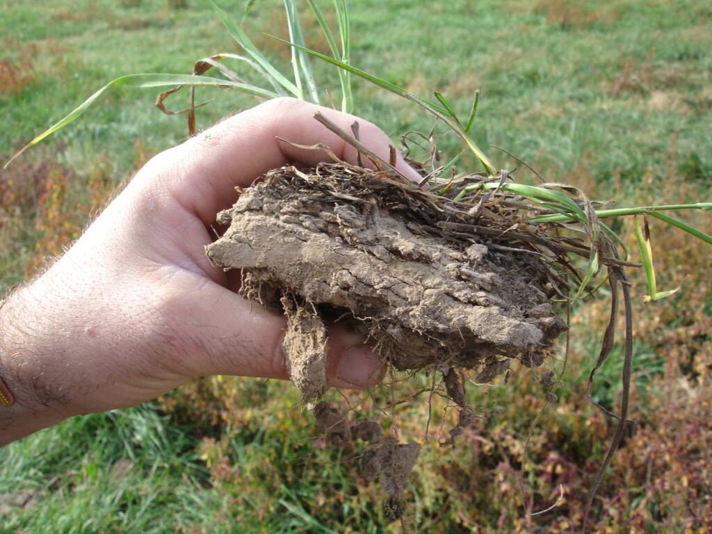 Harrington's Organic Land Care Bradfield 1