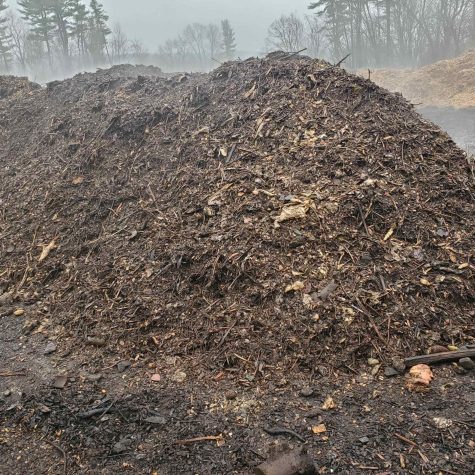 Harrington's Organic Land Care Community Compost 15