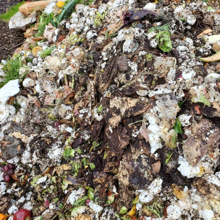 Harrington's Organic Land Care Community Compost 6