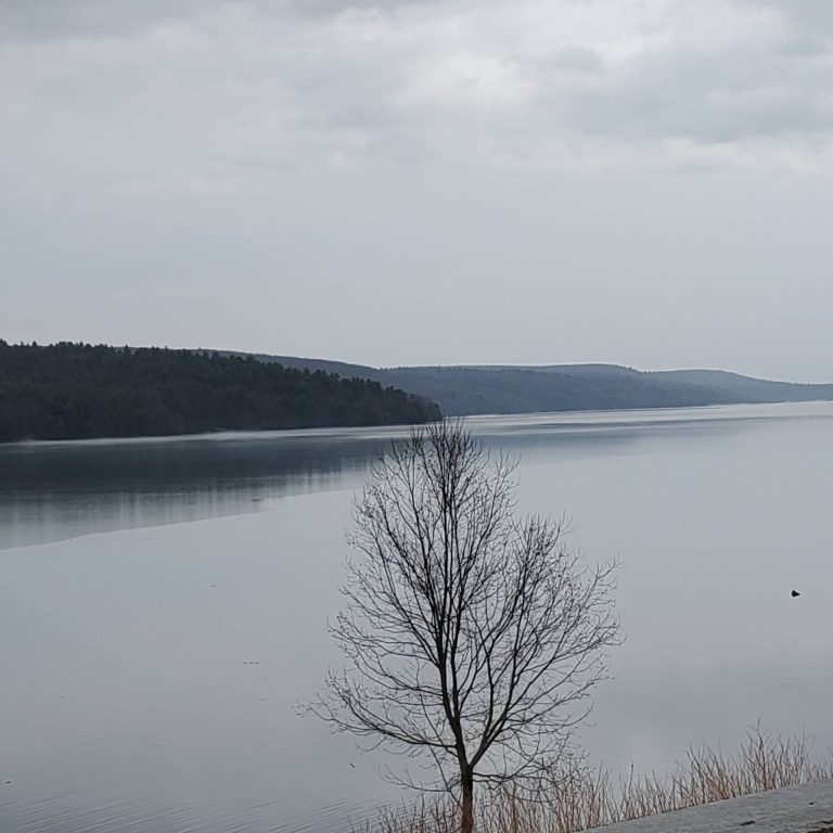Harringtons organic land care - Sullivan County Soil & Water Conservation District 3