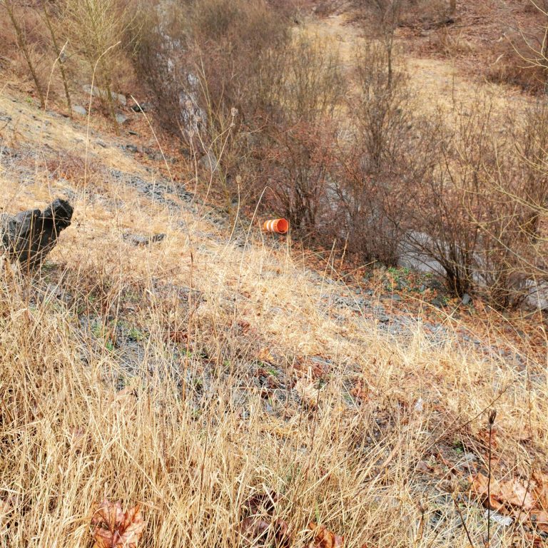 Harringtons organic land care - Sullivan County Soil & Water Conservation District 5