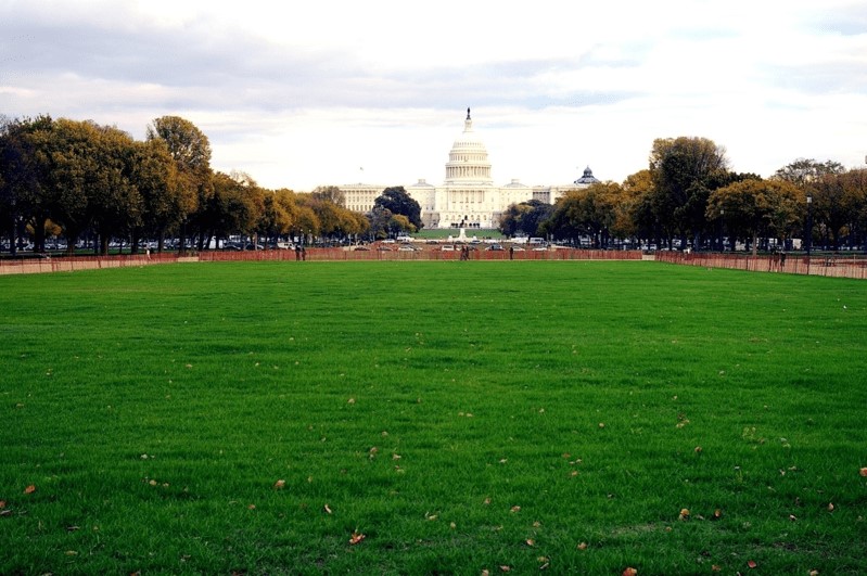 Harringtons Organic Land Care - Washington DC 1