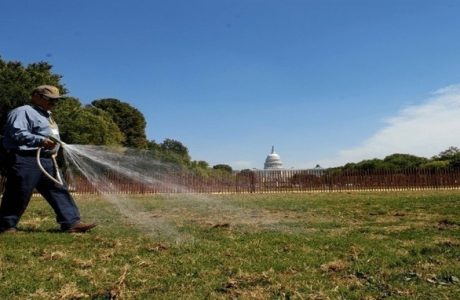 Harringtons Organic Land Care - Washington DC 14