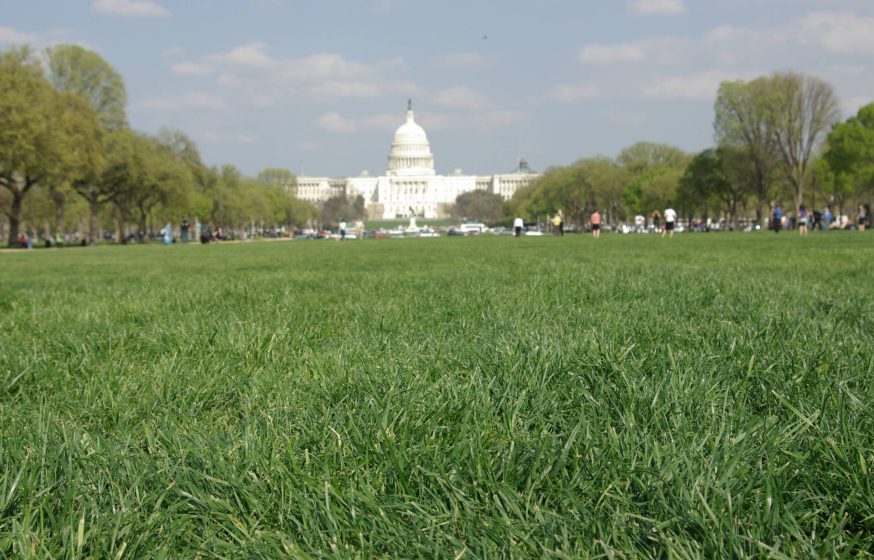 Harringtons Organic Land Care - Washington DC 15