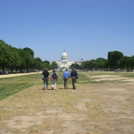 Harringtons Organic Land Care - Washington DC 3