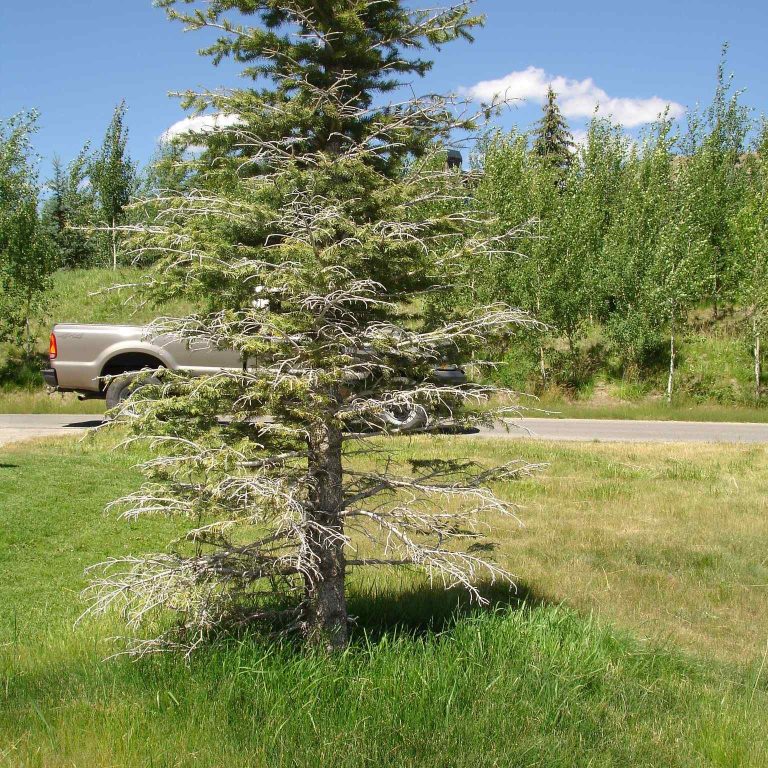 Sun Valley Idaho 3