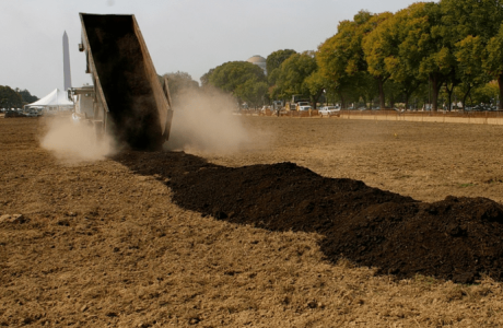 Harringtons Organic Land Care - Washington DC 10
