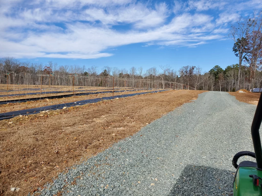 Harringtons-Organic-Land-Care-Consulting-Union-Grove-Farm-Project-2019 (4)