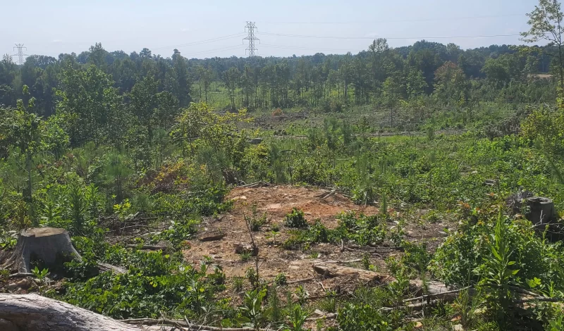 Harringtons-Organic-Land-Care-Consulting-Union-Grove-Farm-Project-2021 (4)
