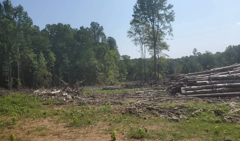 Harringtons-Organic-Land-Care-Consulting-Union-Grove-Farm-Project-2021 (5)