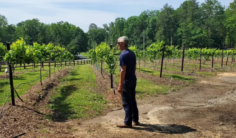 Harringtons-Organic-Land-Care-Consulting-Union-Grove-Farm-Project-2021 (9)