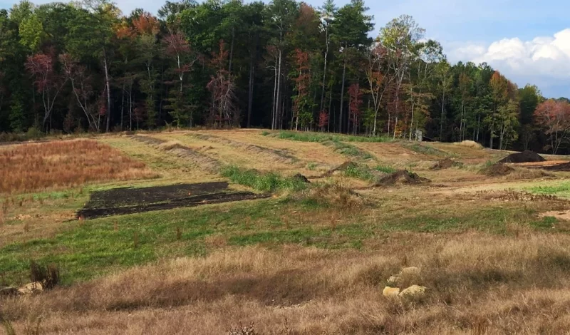 Harringtons-Organic-Land-Care-Soil-Food-Web-Consulting-Union-grove (8)