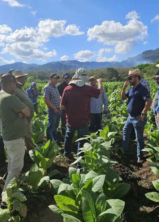 Harringtons-Organic-Land-Care-Soil-Food-Web-Plasenscia-Tabacco-Project (6)